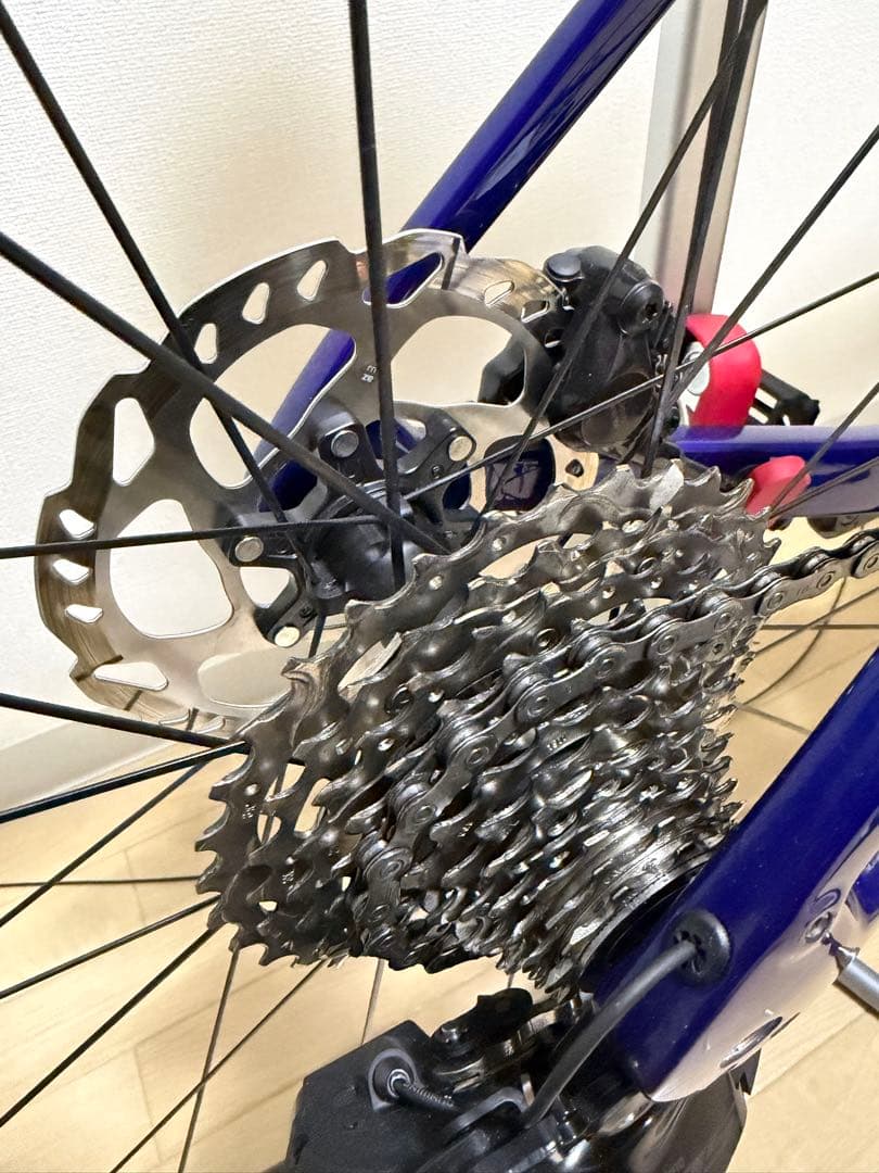 domane SL6 (ホイールROVAL ALPINIST CLX2)