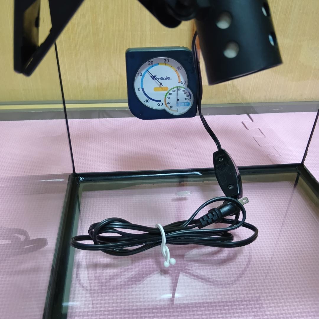 エキゾテラ　グラステラリウム3030　GEX