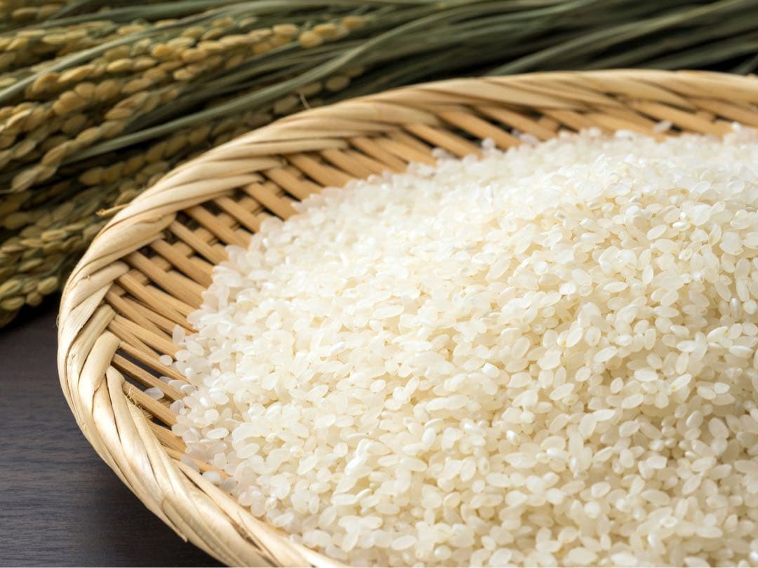 令和7年産　なつほのか　新米15kg 農家直送