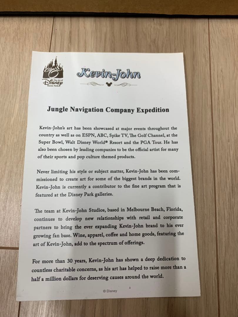 ディズニー　ジャングルクルーズ　絵　アート　レア disney fine art