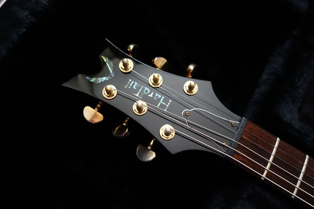 Dean hardtail Pro フジゲン製