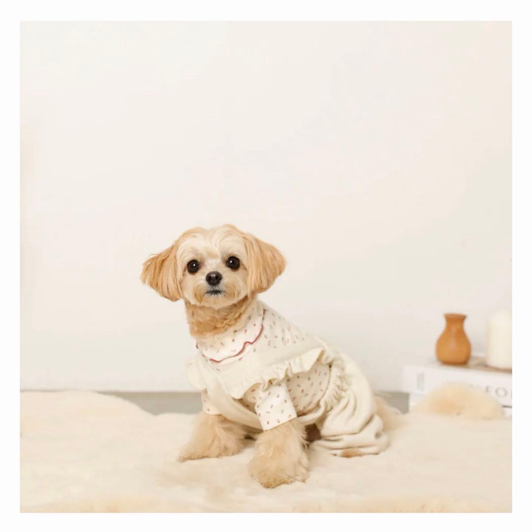 犬 ペット服 monchéri かぼちゃパンツ サロペット トップス まとめ売り