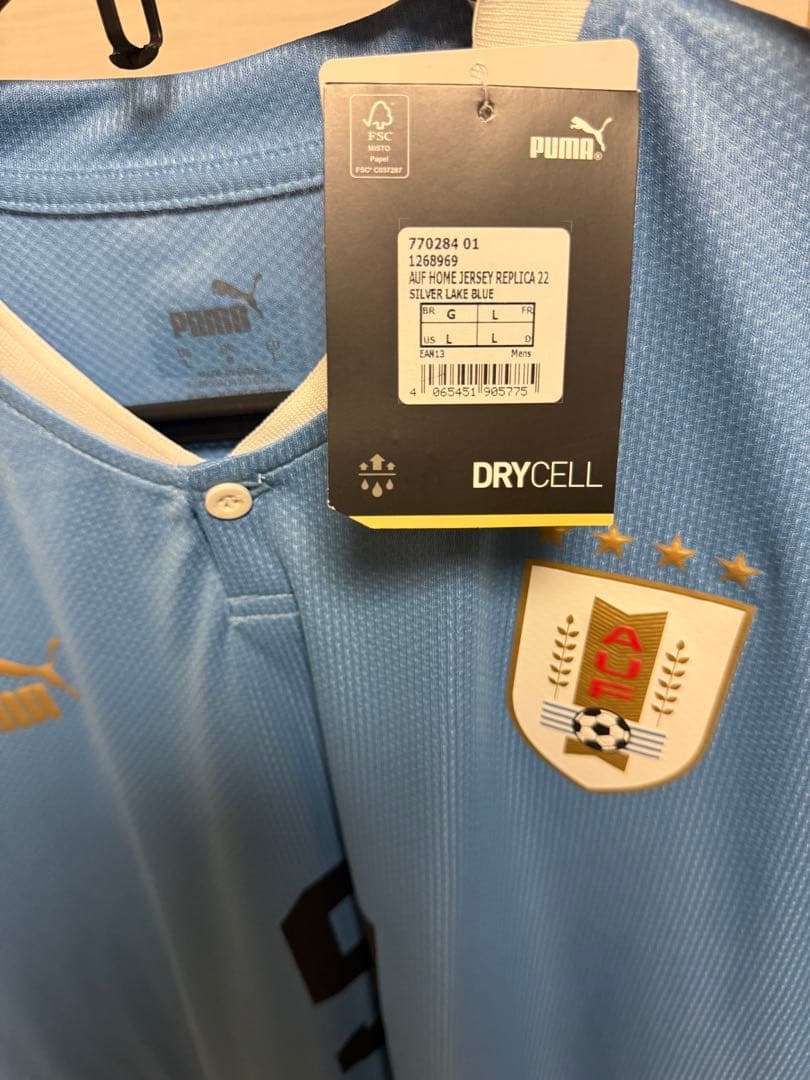 ダルウィン・ヌニェス 9番 ウルグアイ代表