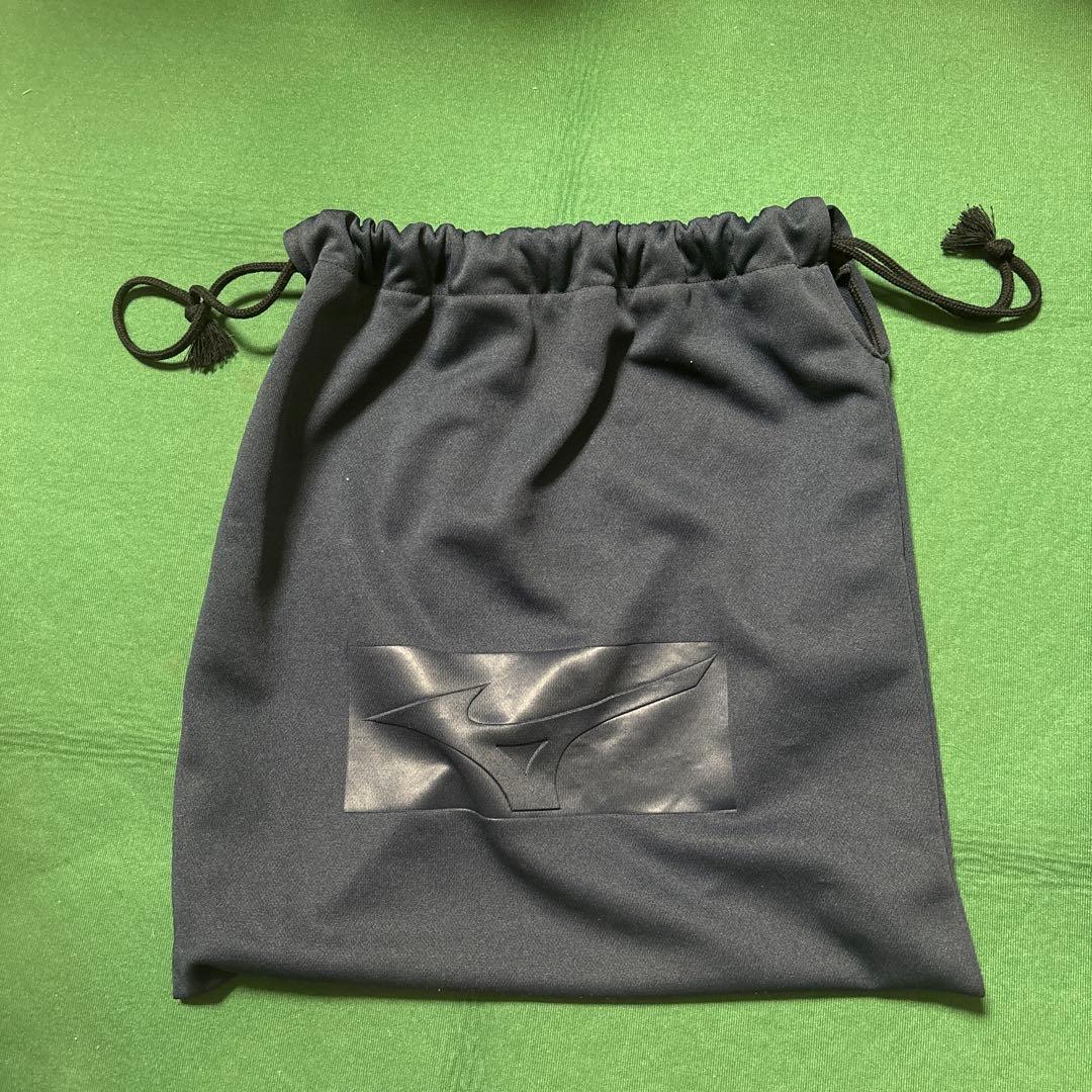 ミズノプロ　グローブ　伊藤大海モデル