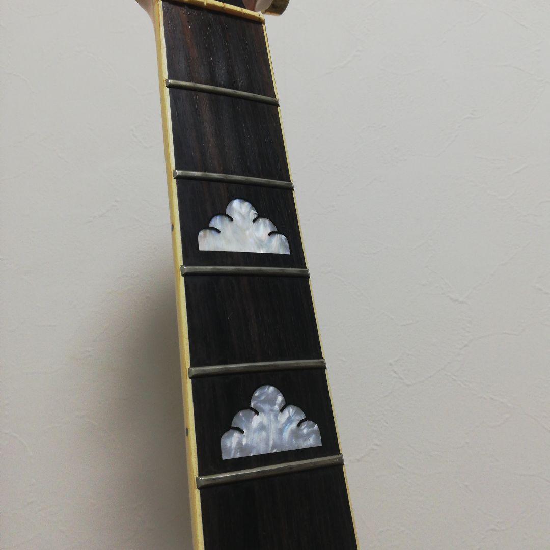 フェルナンデス　モッキンバード