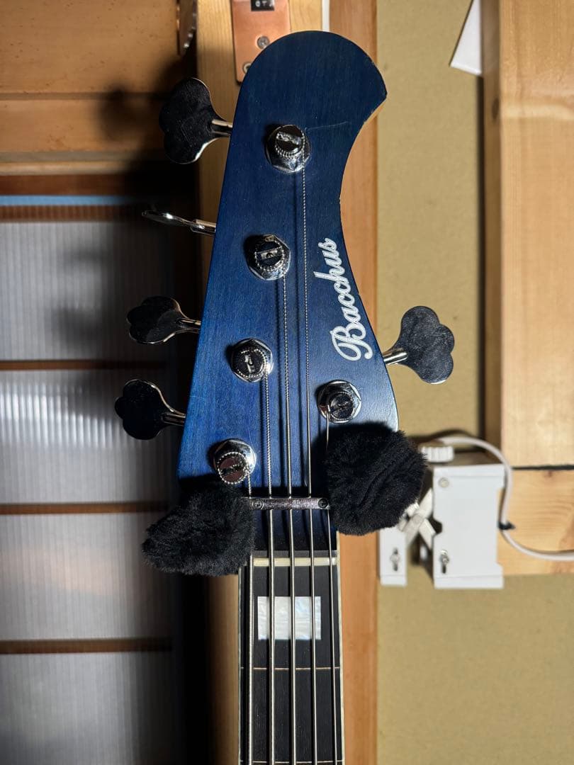 【超激レア仕様】Bacchus Woodline 5弦ベース【値下げ歓迎】