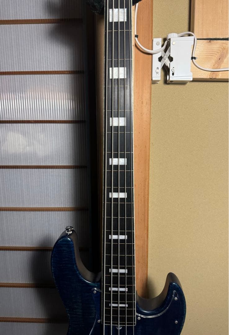 【超激レア仕様】Bacchus Woodline 5弦ベース【値下げ歓迎】