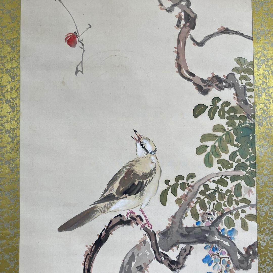 掛軸•日本画　森山香浦「藤に百舌鳥」