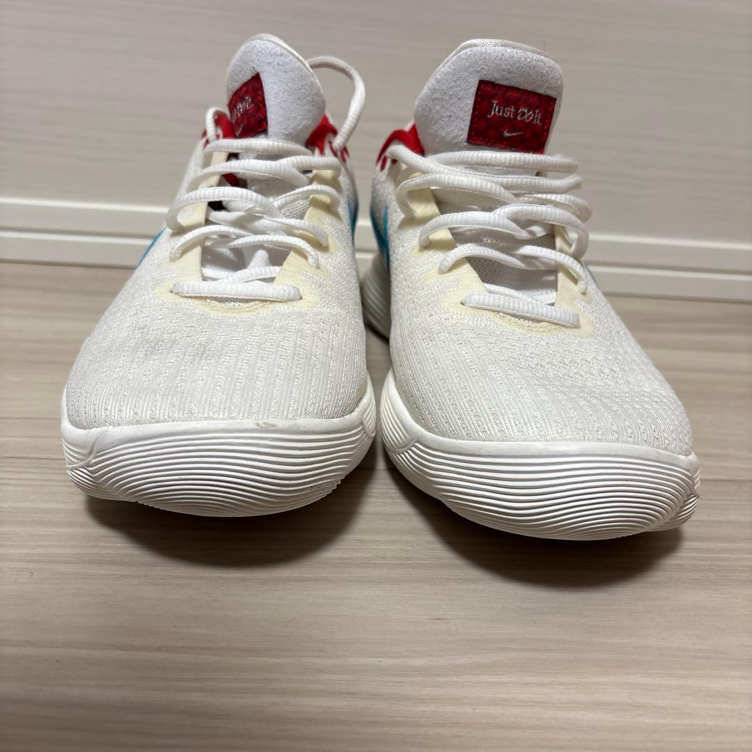 日本 未発売 28.0 NIKE ナイキ ハイパーダンクロー 2017 ドラゴン