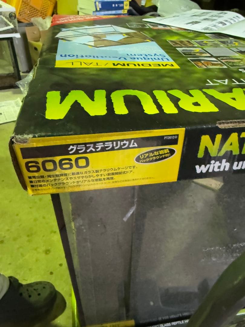 ナチュラルテラリウム 6060 ミディアム・タワー