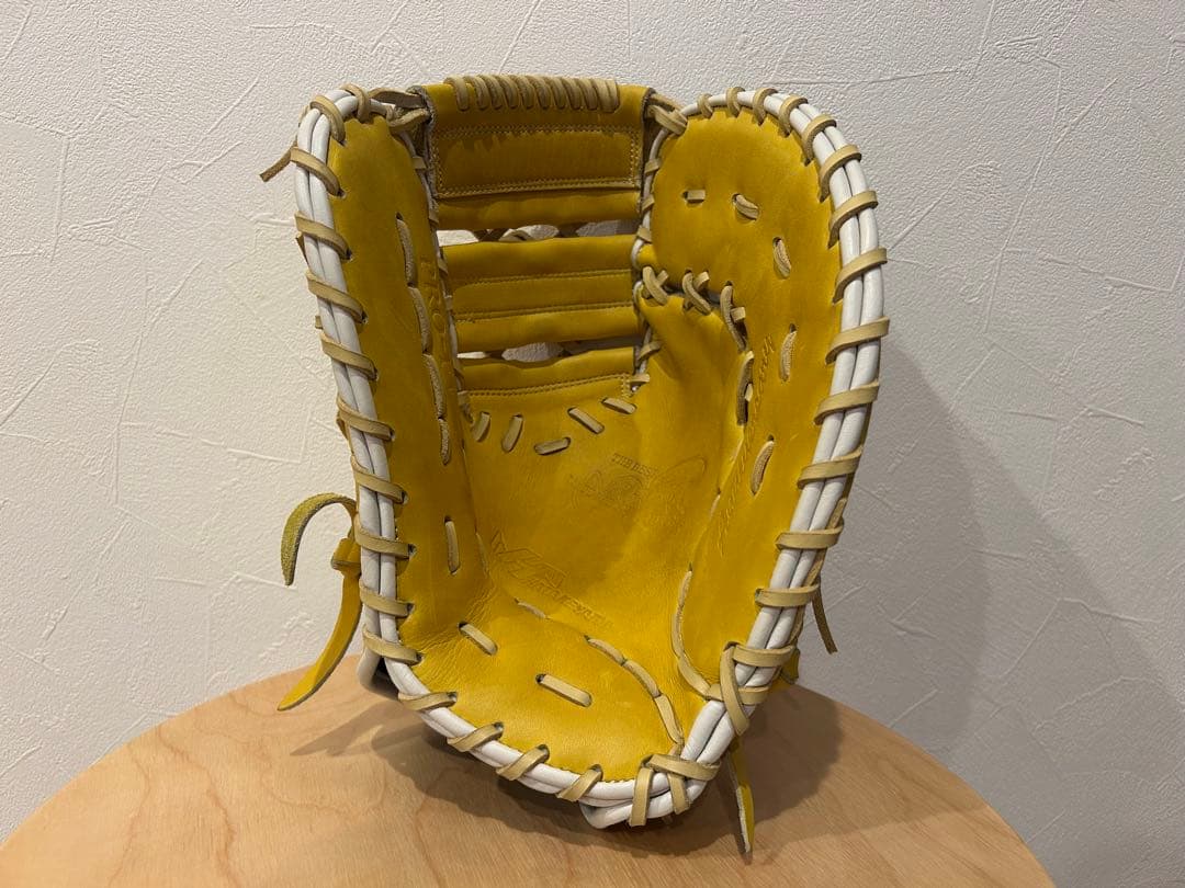 極上 希少カラー 軟式 ハタケヤマ ファーストミット