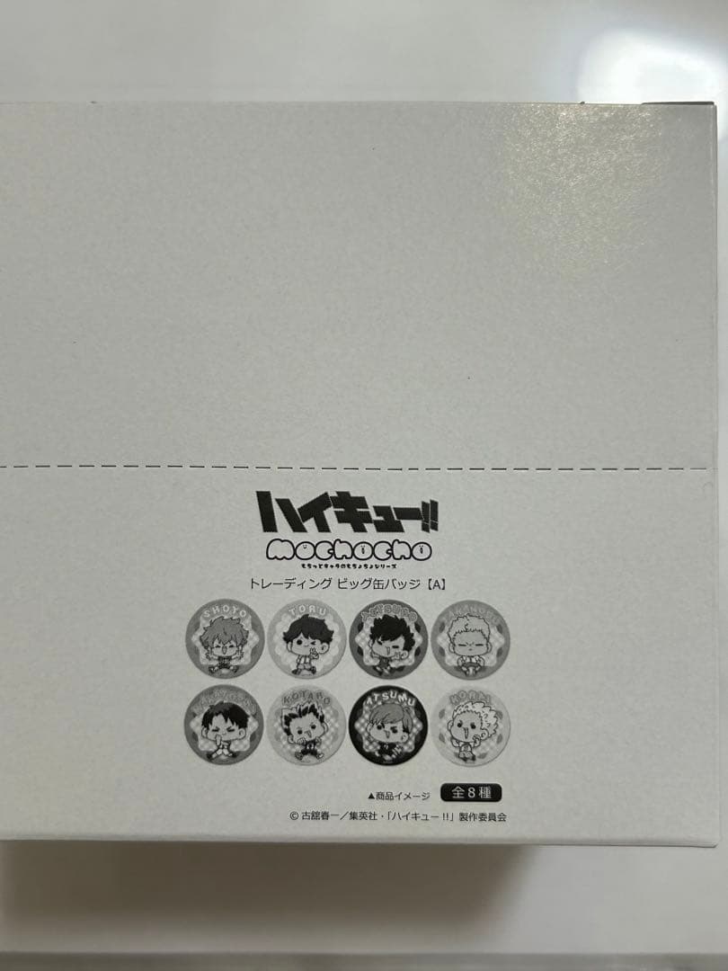 ハイキュー!!　mochocho Vol.2 トレーディングビッグ缶バッジA