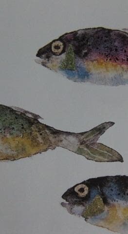 片岡鶴太郎、【小鰭三人衆】、希少な額装用画集より、美品、日本人画家