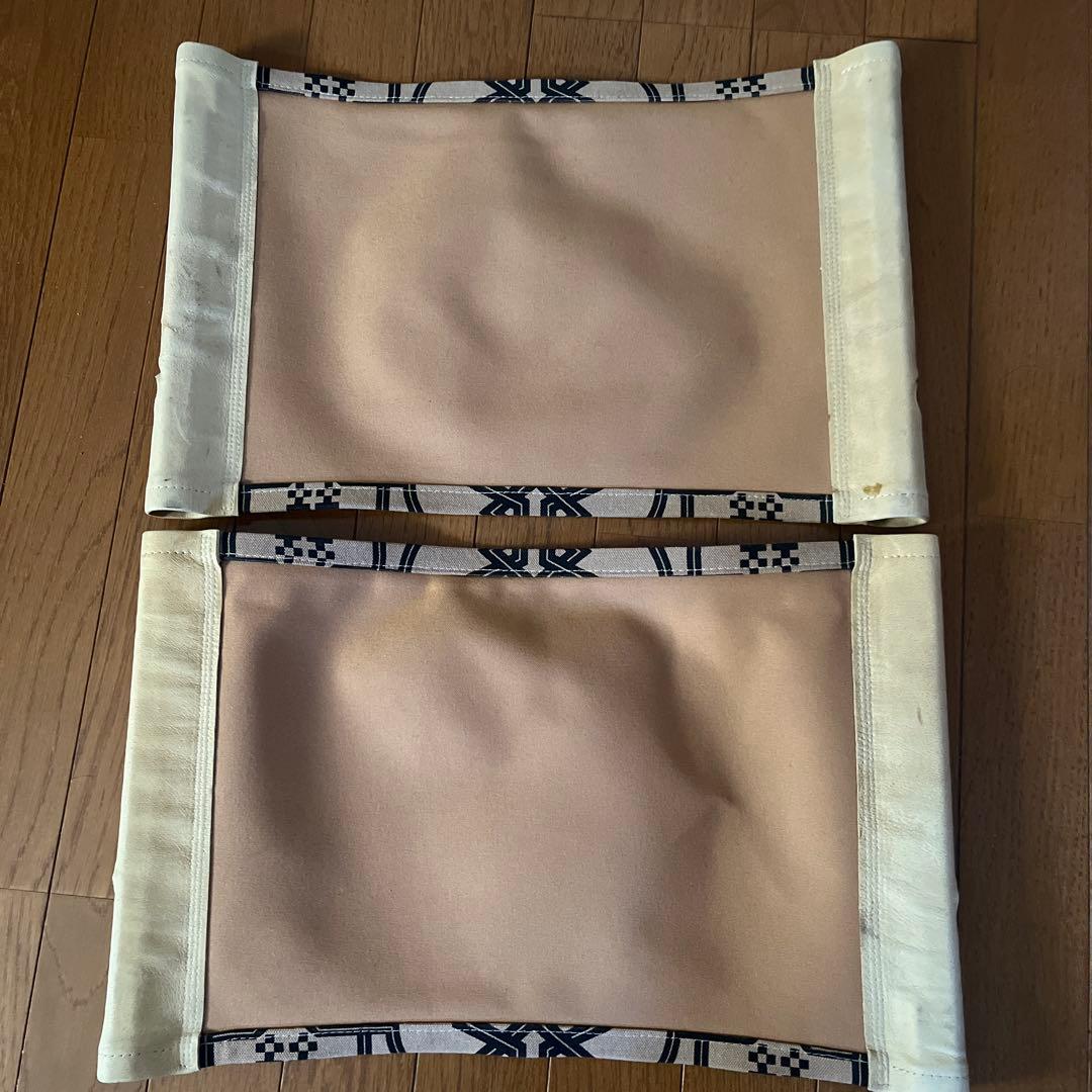 早い者勝ちです！ オールドマウンテンガラクダ