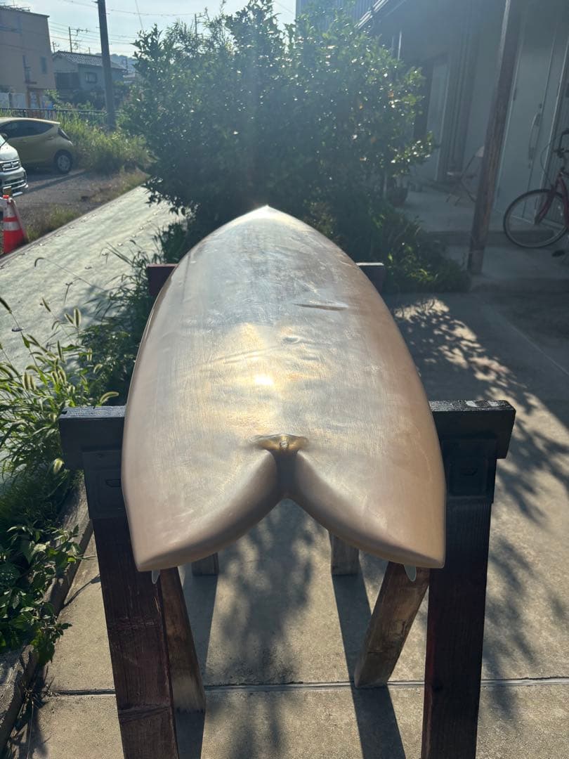 pavel ハイパフォーマンスフィッシュ　パベル　フィッシュ