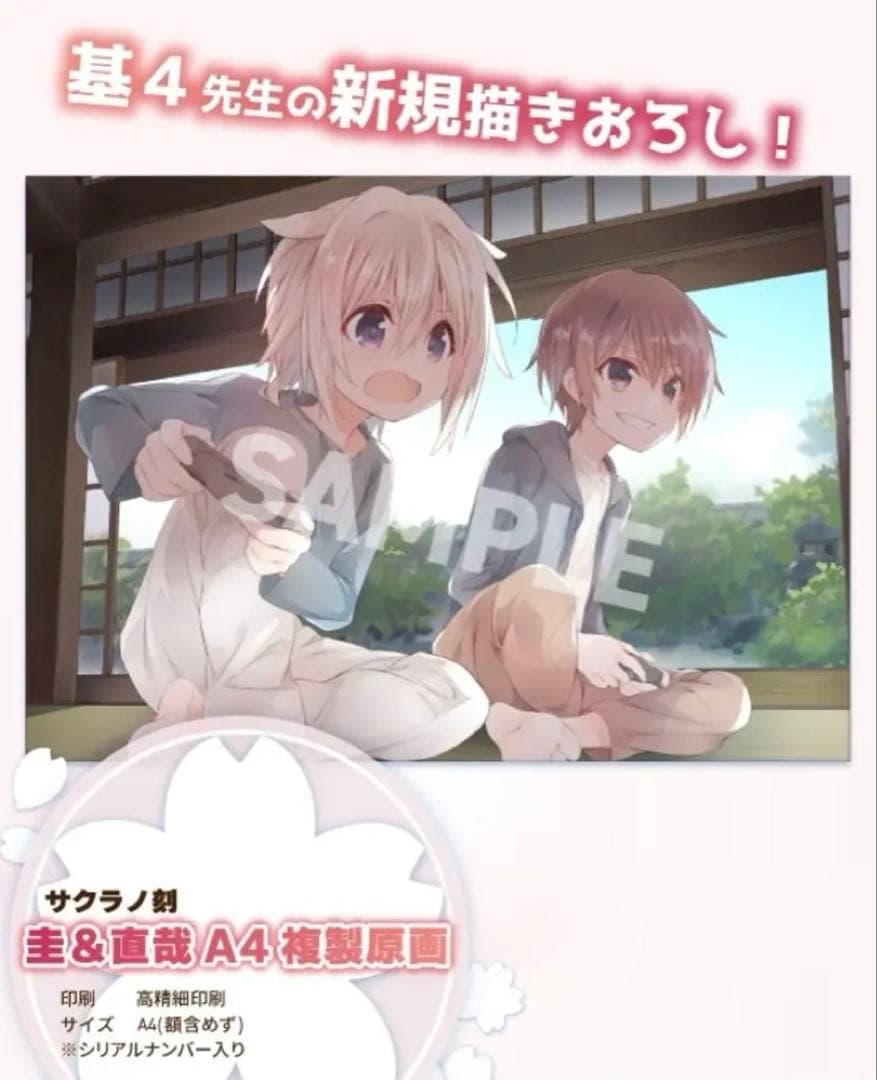 サクラノ刻 圭＆直哉 A4複製原画 直筆サイン入り