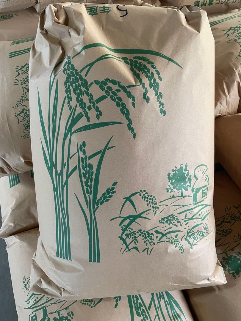 新米コシヒカリ　令和7年　富山県産