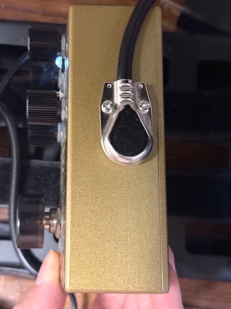 Walrus Audio Warhorn 付属品あり