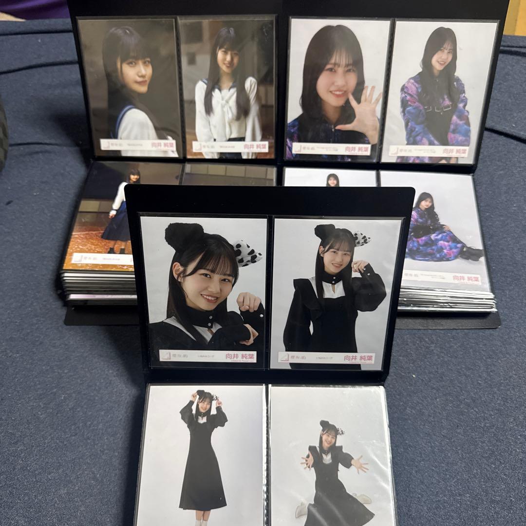 期間限定値下　向井純葉　生写真　最初期〜2025/9 フルコンプ95種