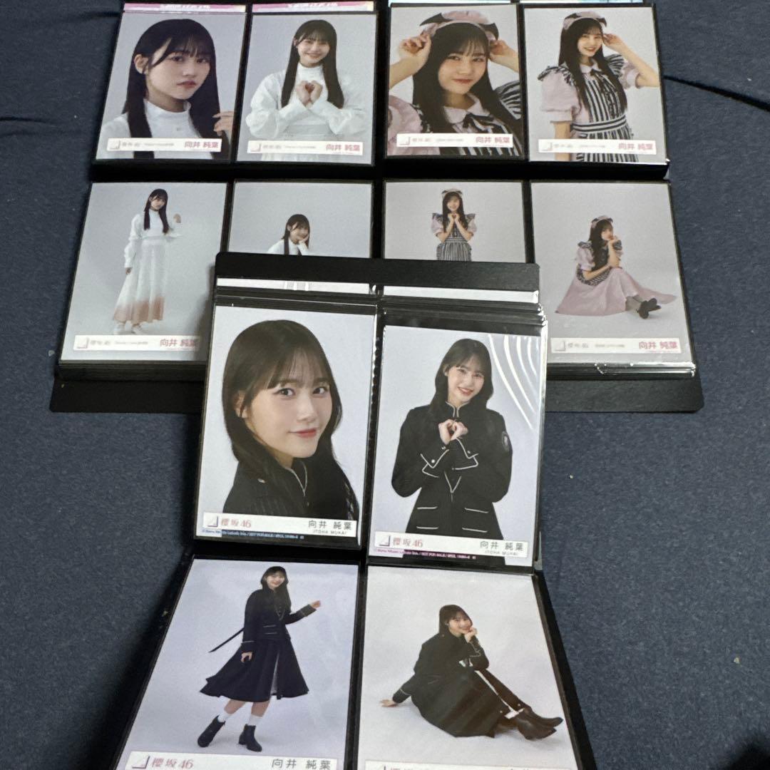 期間限定値下　向井純葉　生写真　最初期〜2025/9 フルコンプ95種