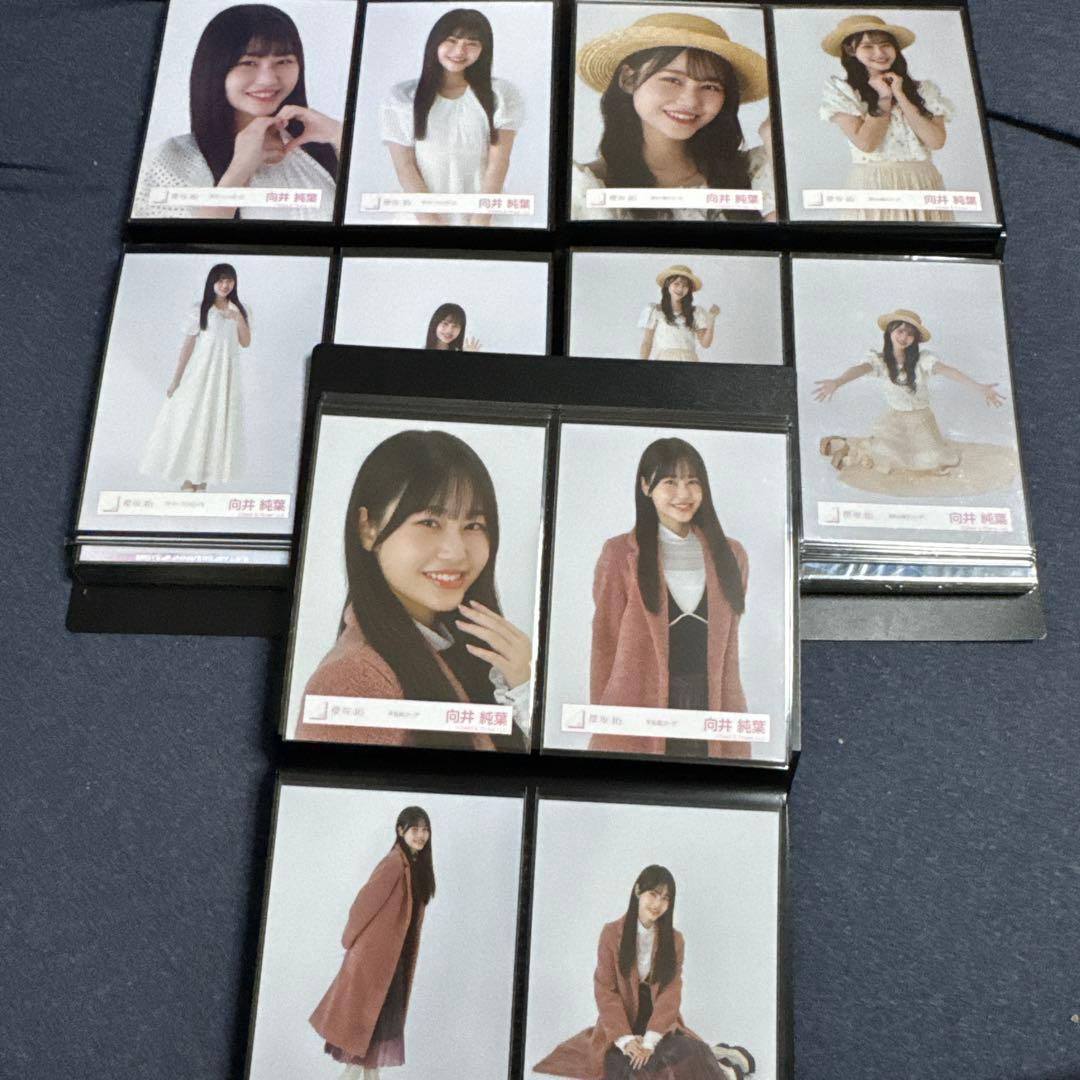 期間限定値下　向井純葉　生写真　最初期〜2025/9 フルコンプ95種