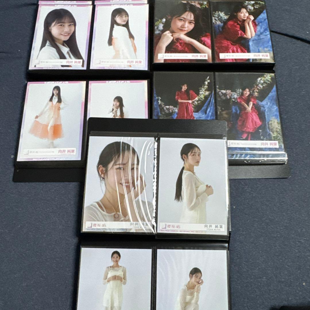 期間限定値下　向井純葉　生写真　最初期〜2025/9 フルコンプ95種