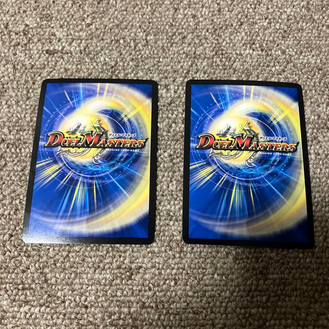 強襲竜 ボルシャック・レイダー/レイド・エントリー シークレット 2枚セット