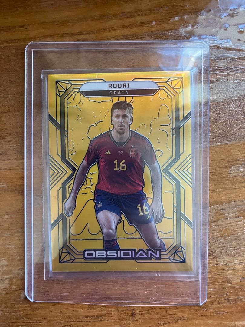 スポーツ選手 PANINI RODRI 09/10