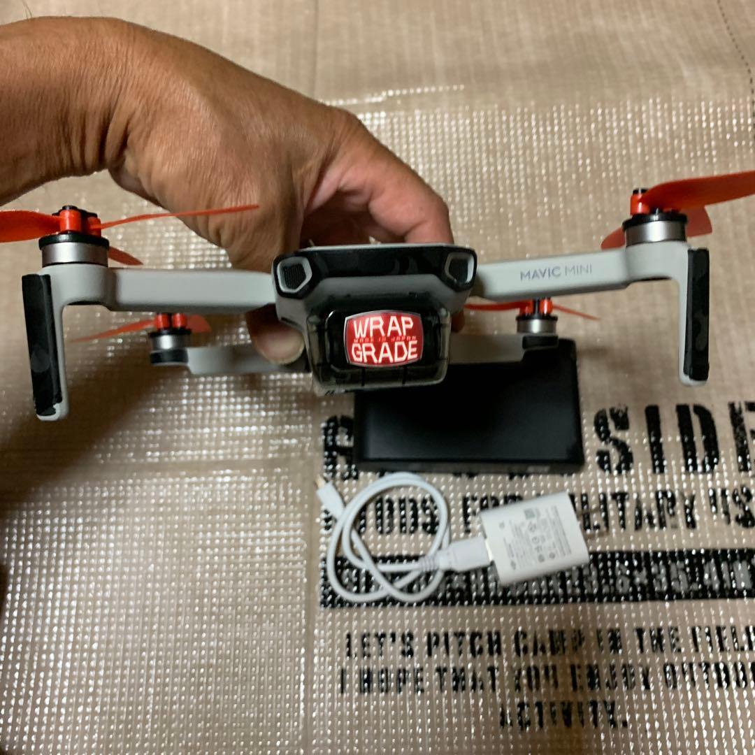 DIPS事前登録済みのMavic mini Fly more combo