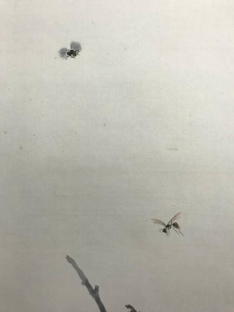 【真作】赤松雲嶺/牡丹に蜂図/花鳥図/花図/掛軸/名家伝来/AD-101