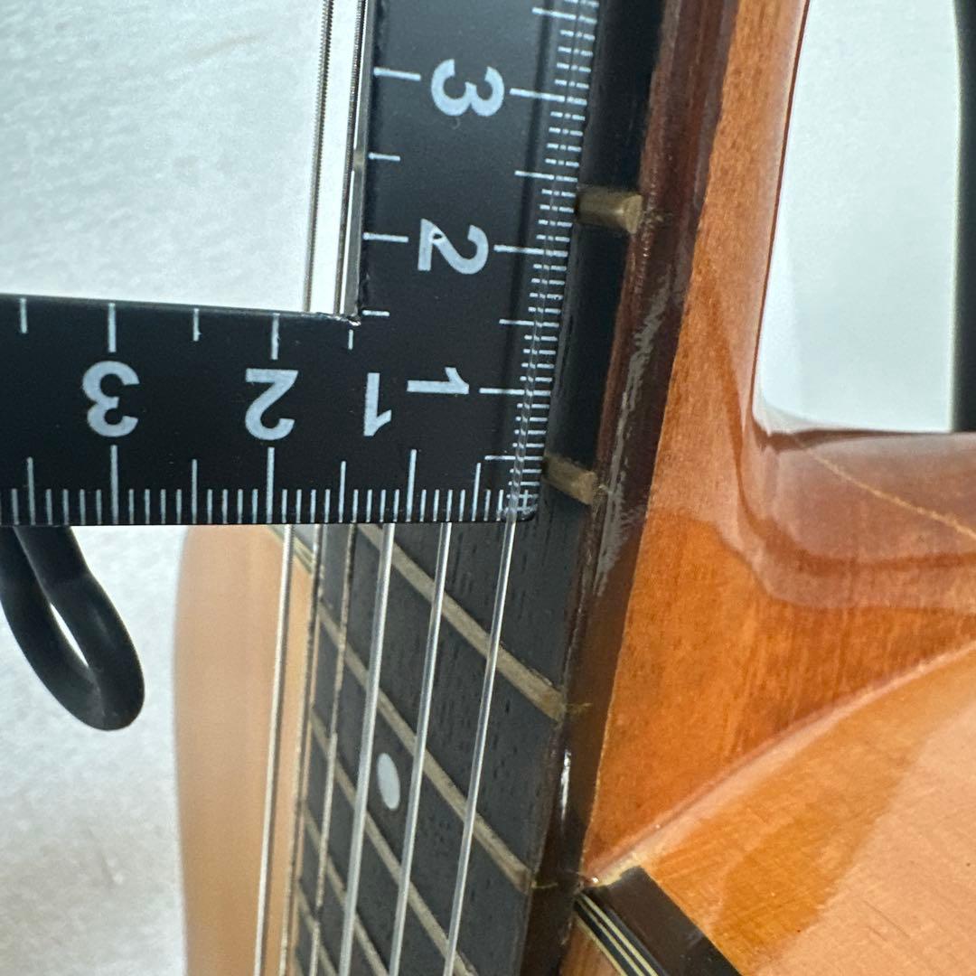 ZEN-ON F-170 ハミングバードタイプ ソフトケース付き 管理No.31