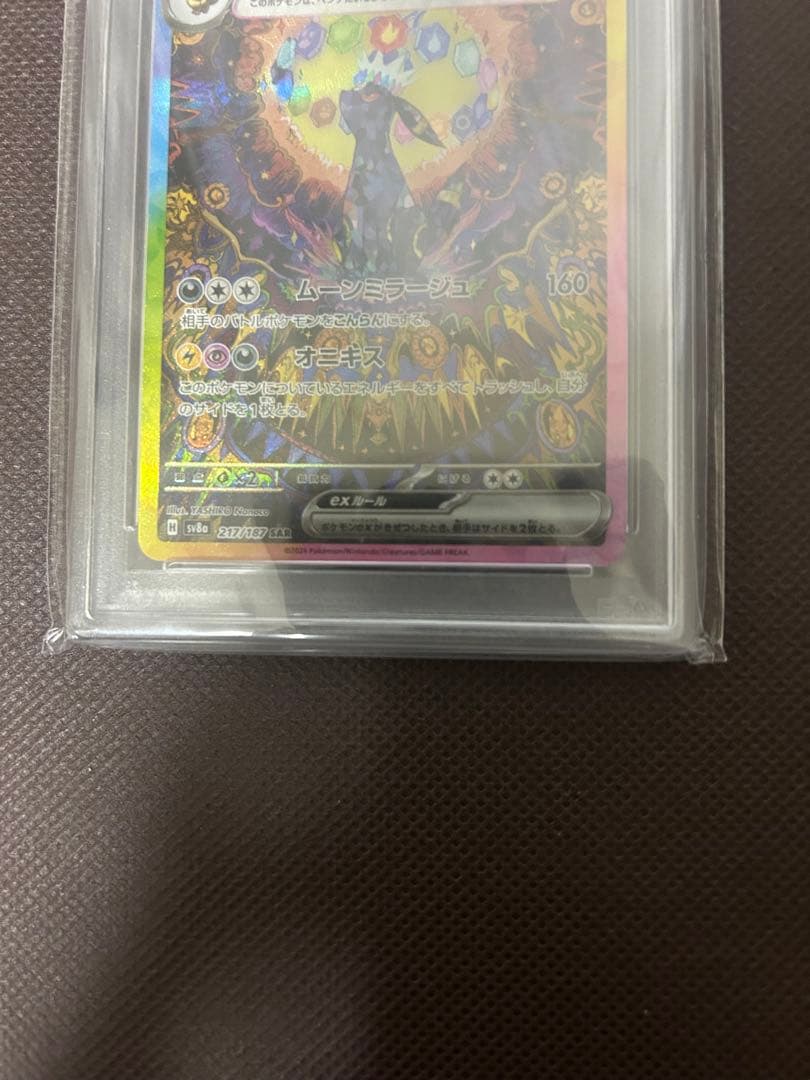 ブラッキーex SAR テラスタルフェス【PSA10】ポケモンカード　1枚