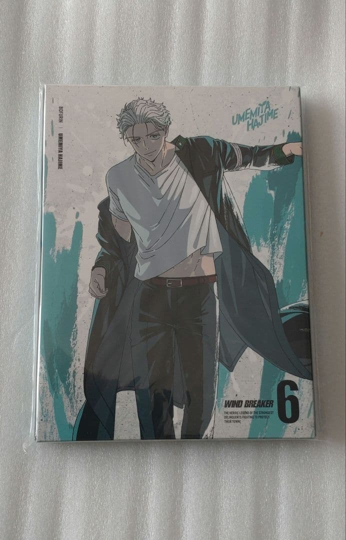 WIND BREAKER ウィンブレ 円盤 完全生産限定版 DVD