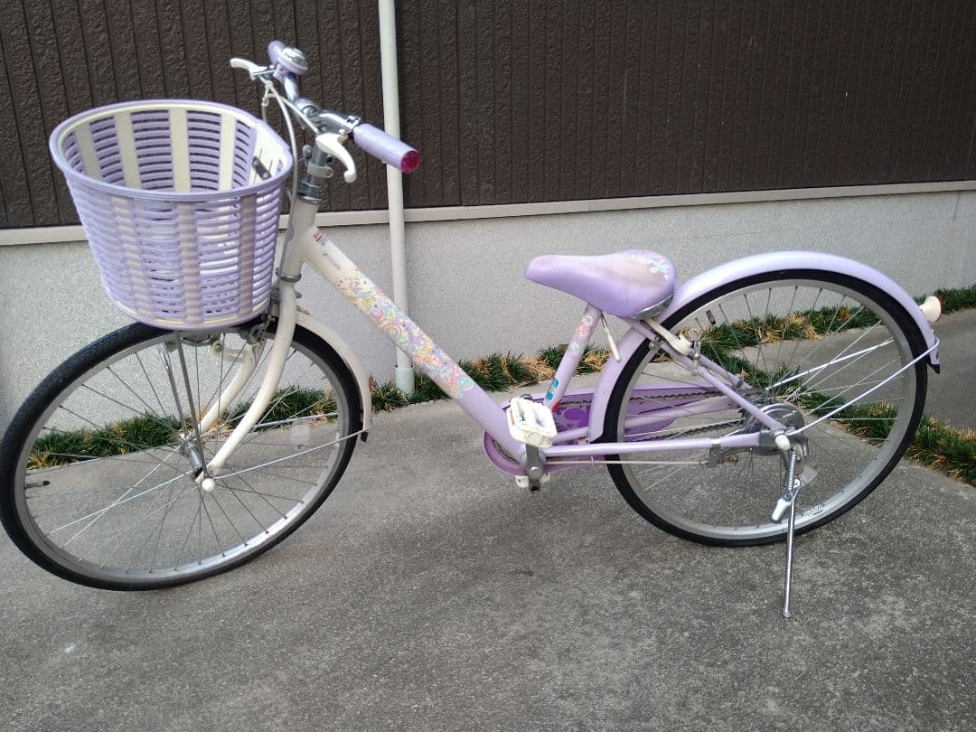 子供用自転車　BRIDGESTONE エコパル　ブリヂストン 24インチ