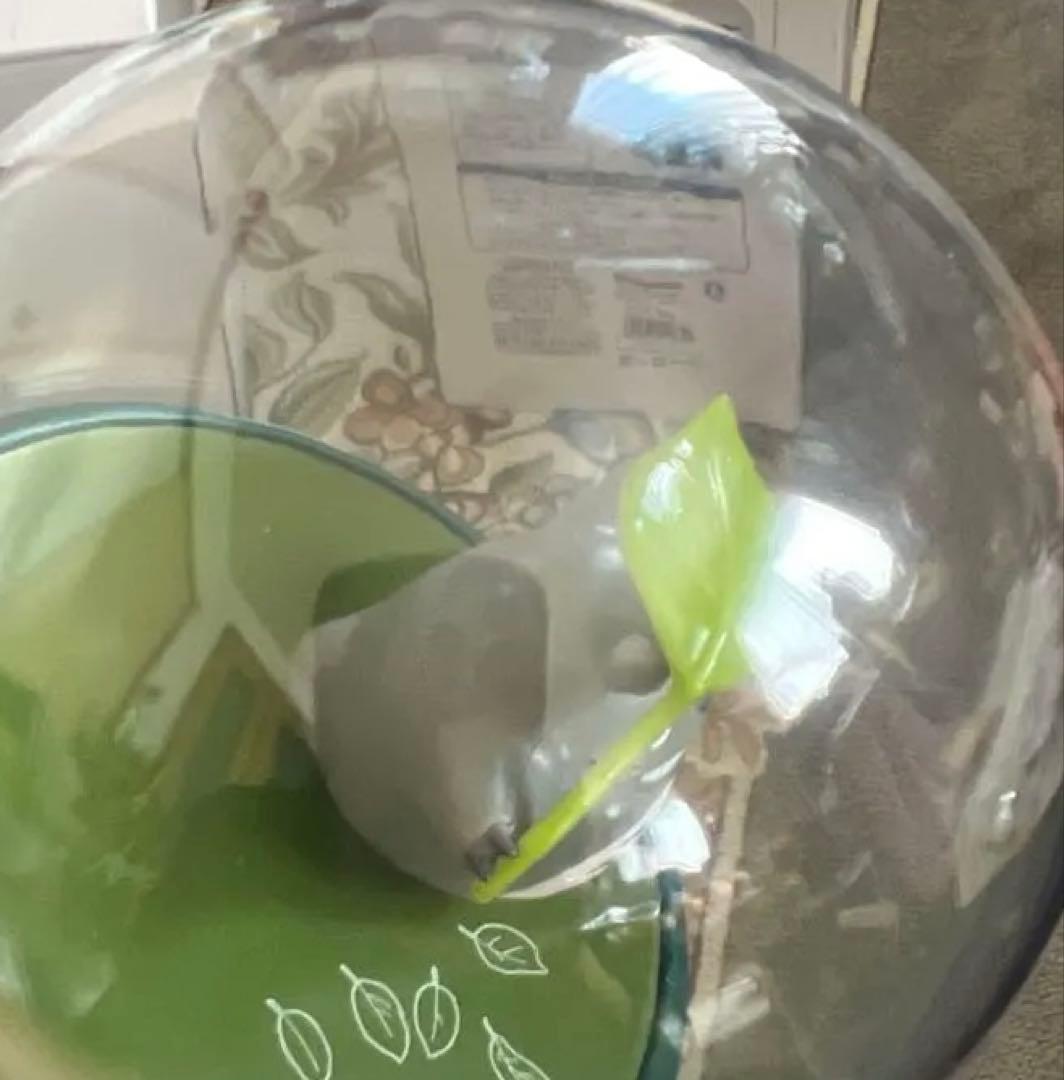 大トトロ　マグネット回転オルゴール