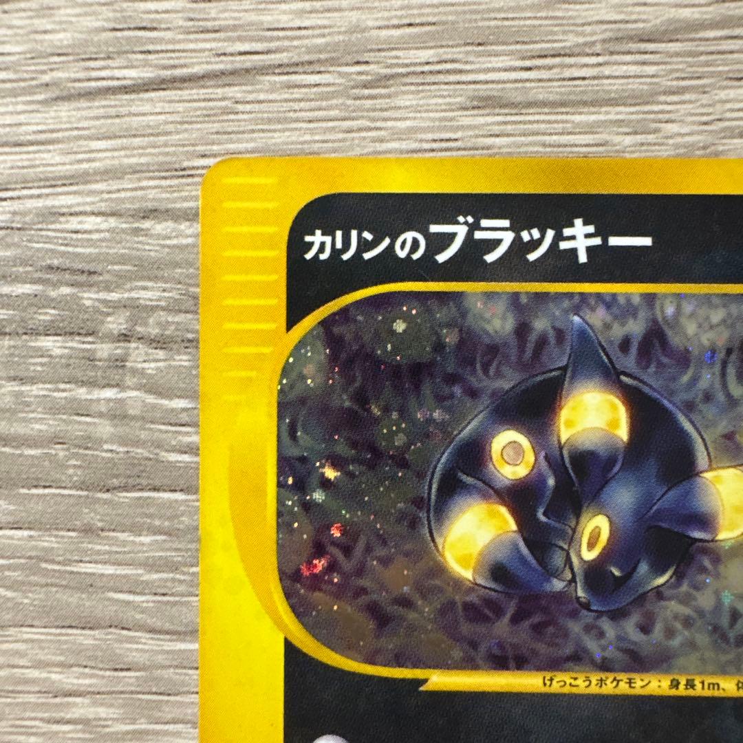 Seizachan　ゼニガメ ブラッキー