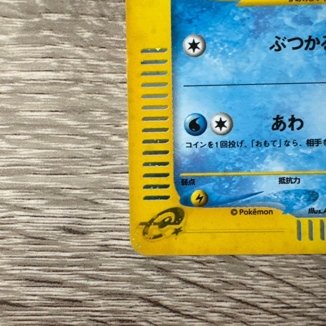 Seizachan　ゼニガメ ブラッキー