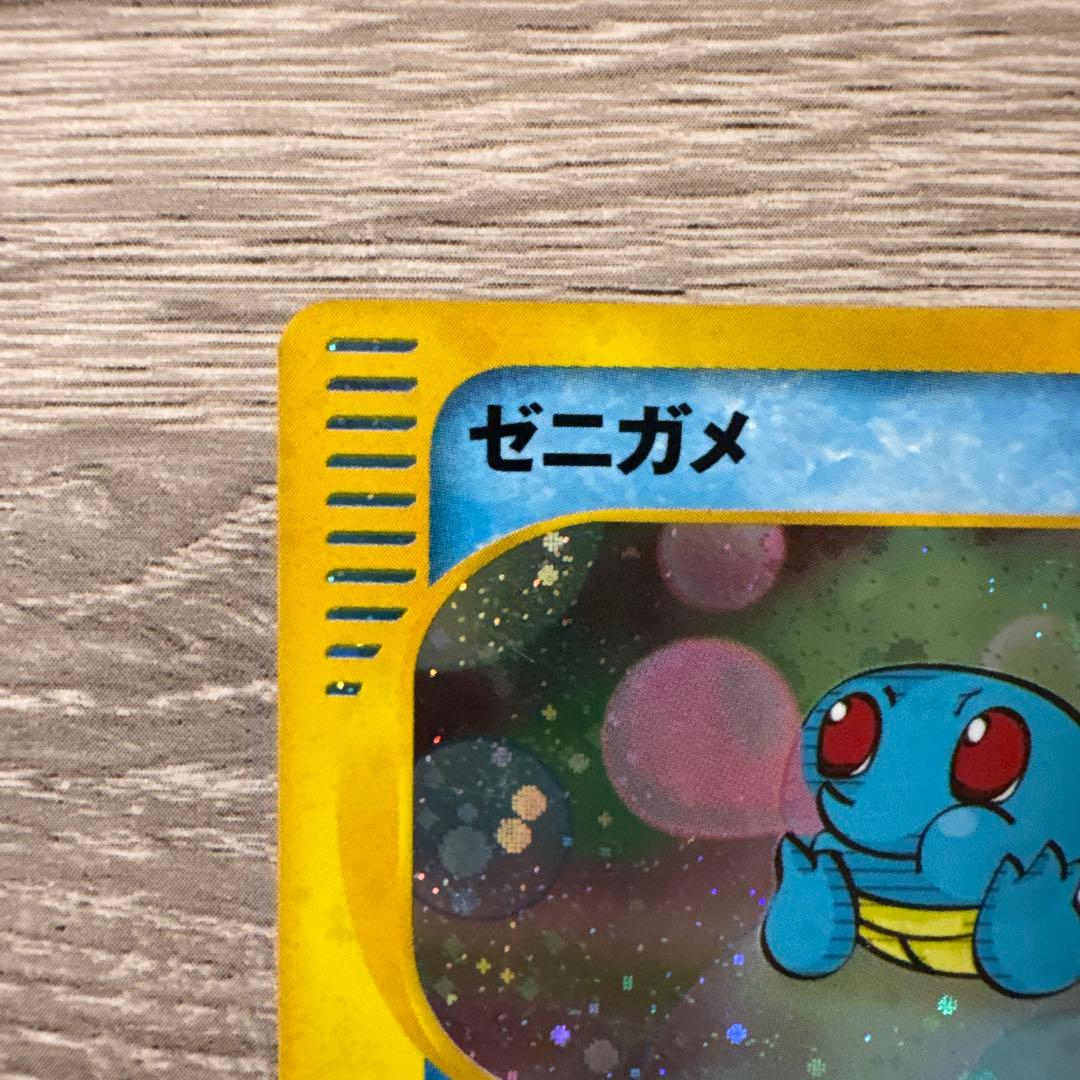 Seizachan　ゼニガメ ブラッキー