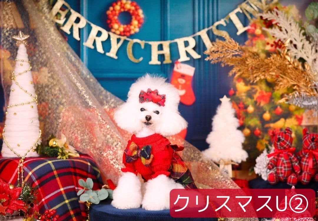 背景布【お正月I】サンプル　縦長　ペット撮影用ブース年賀状　梅の花　和柄　赤富士