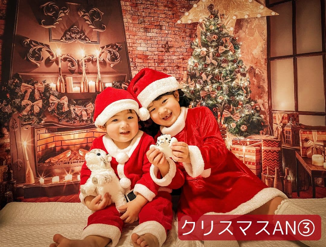 背景布【お正月I】サンプル　縦長　ペット撮影用ブース年賀状　梅の花　和柄　赤富士