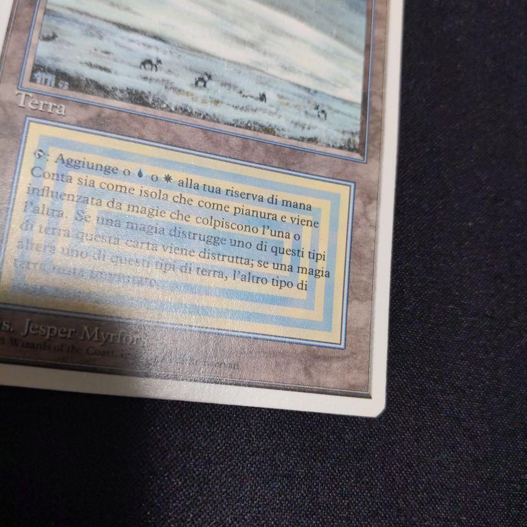 ●【訳アリ】　Tundra　他言語　１枚