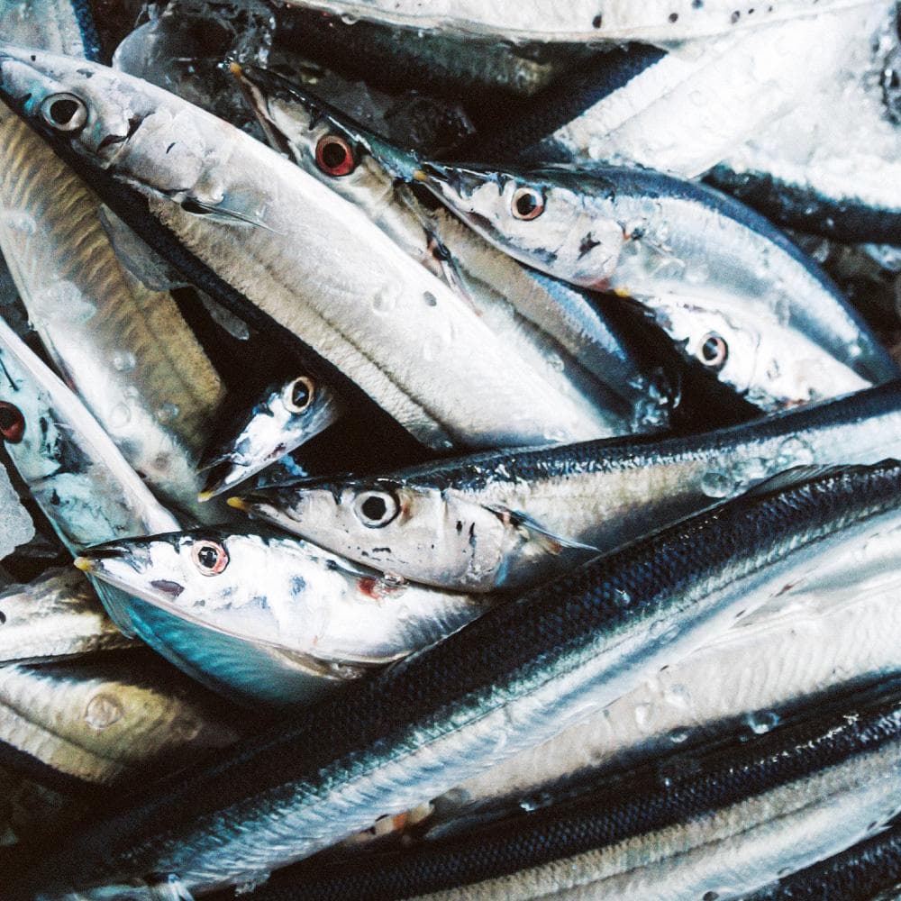 限定セール【国産高級缶詰】北海道産秋刀魚味付１５缶セット お得なまとめ買い