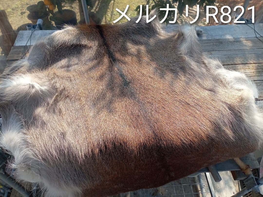 天然日本鹿毛皮 ブランケット 自然な毛並み