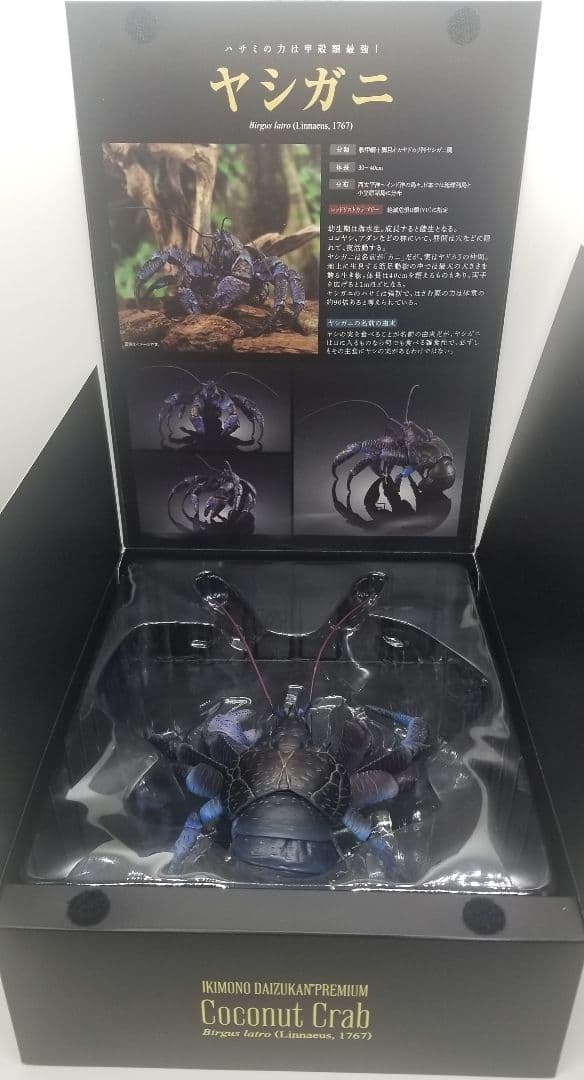 いきもの大図鑑プレミアム　ヤシガニ