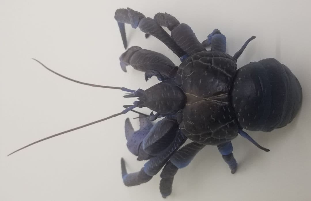 いきもの大図鑑プレミアム　ヤシガニ