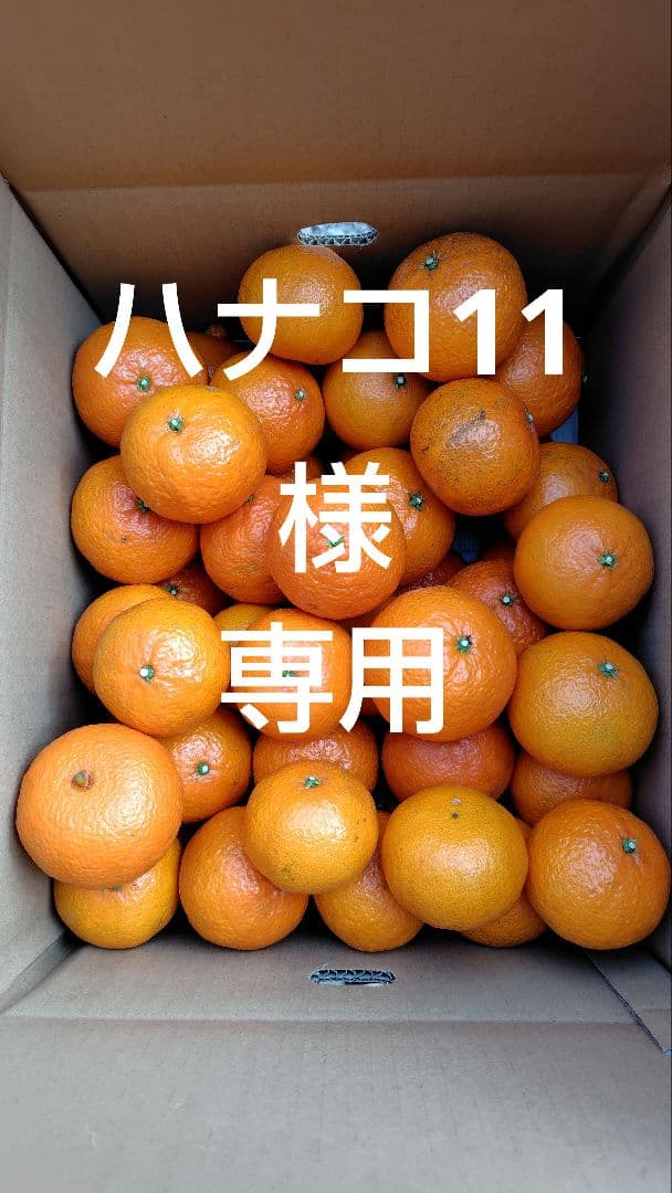 津之輝20㎏(家庭用)ハナコ11