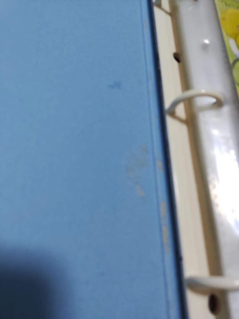 ☆フルコンプ込　トレカ175枚 + バインダー２冊　まとめて　デジキャラット