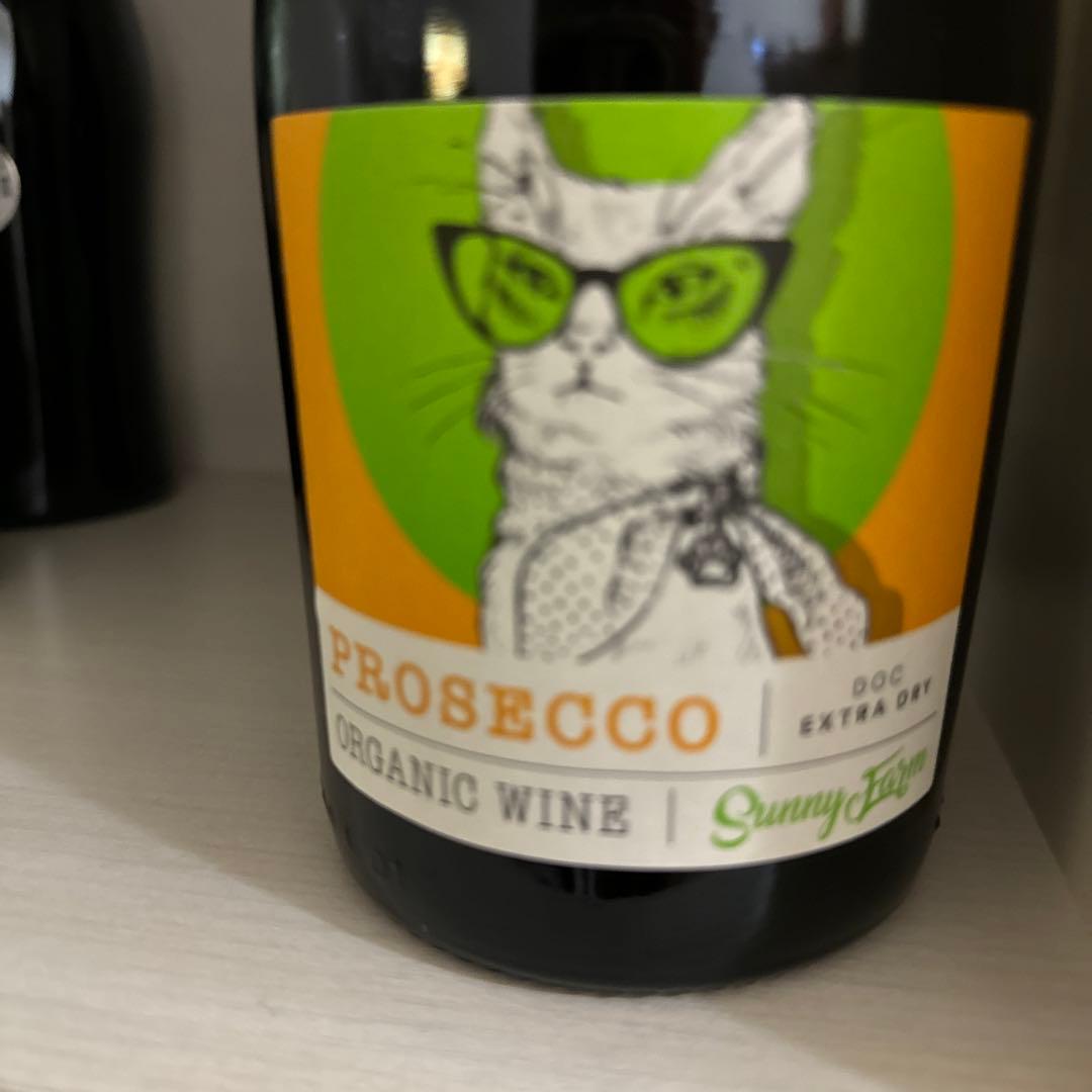 スパークリング　プロセッコ　イタリア