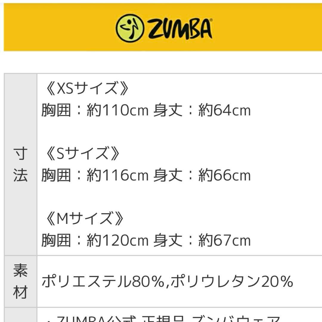 ZUMBA メッシュTシャツ 正規品　Ｍサイズ