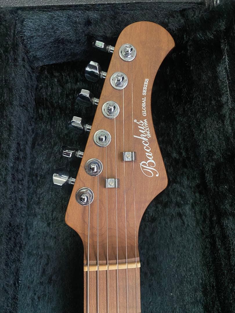 値下げ　BACCHUS BSM-STD/RSM/FR ハードケース別売り